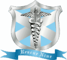 Rescue Nine EMS